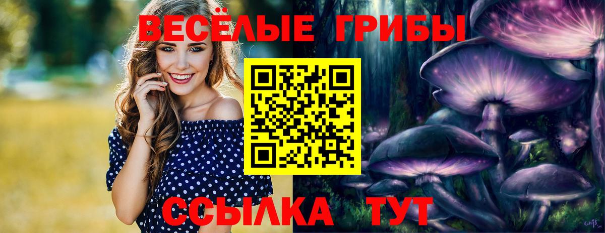 Псилоцибиновые грибы мухоморы Тында